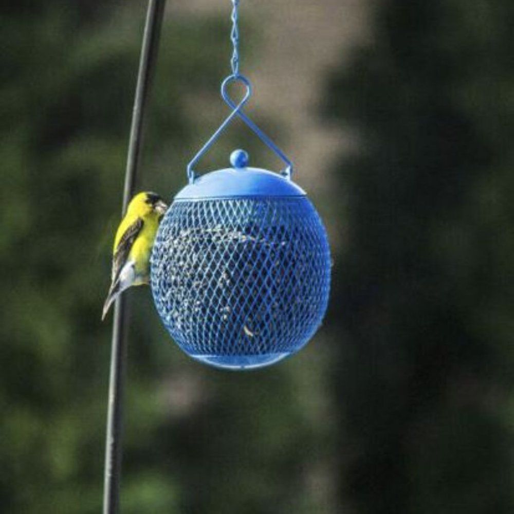 NWT- Globe Bird Feeder - Orange - Picture 4 of 8